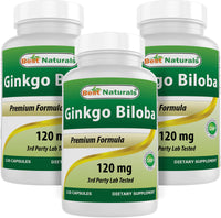 Best Naturals, Ginkgo Biloba Extract - Double Strength Ginkgo Biloba, 120mg, 120 Capsules (120 Count (Pack of 3))