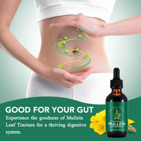 Tamiodfo Mullein Leaf Liquid Drops,Mullein Drops,Mullein Leaf Extract Drops,Mullein Herbal Supplements Drops for Fast Absorption 60ml(2pcs)