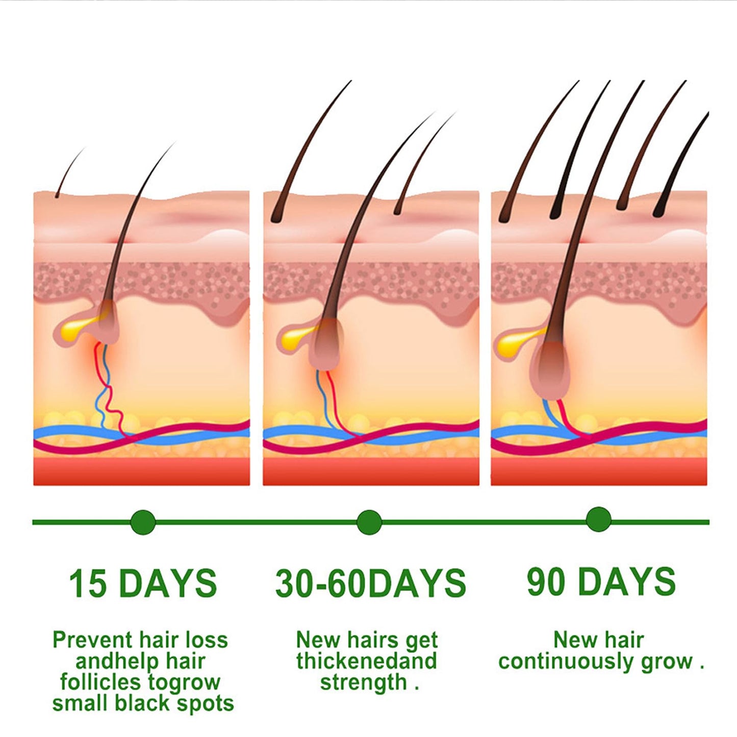 AmiCera Rosemary Oil for Hair Growth, Organic Pure Rosemary Essential Oil, with Derma Roller for Hair, Hair Strengthening for Men Women, Scalp Massage & Nourish, Eyebrow Eyelash Growth Oils, 60ml, 2 Brushes