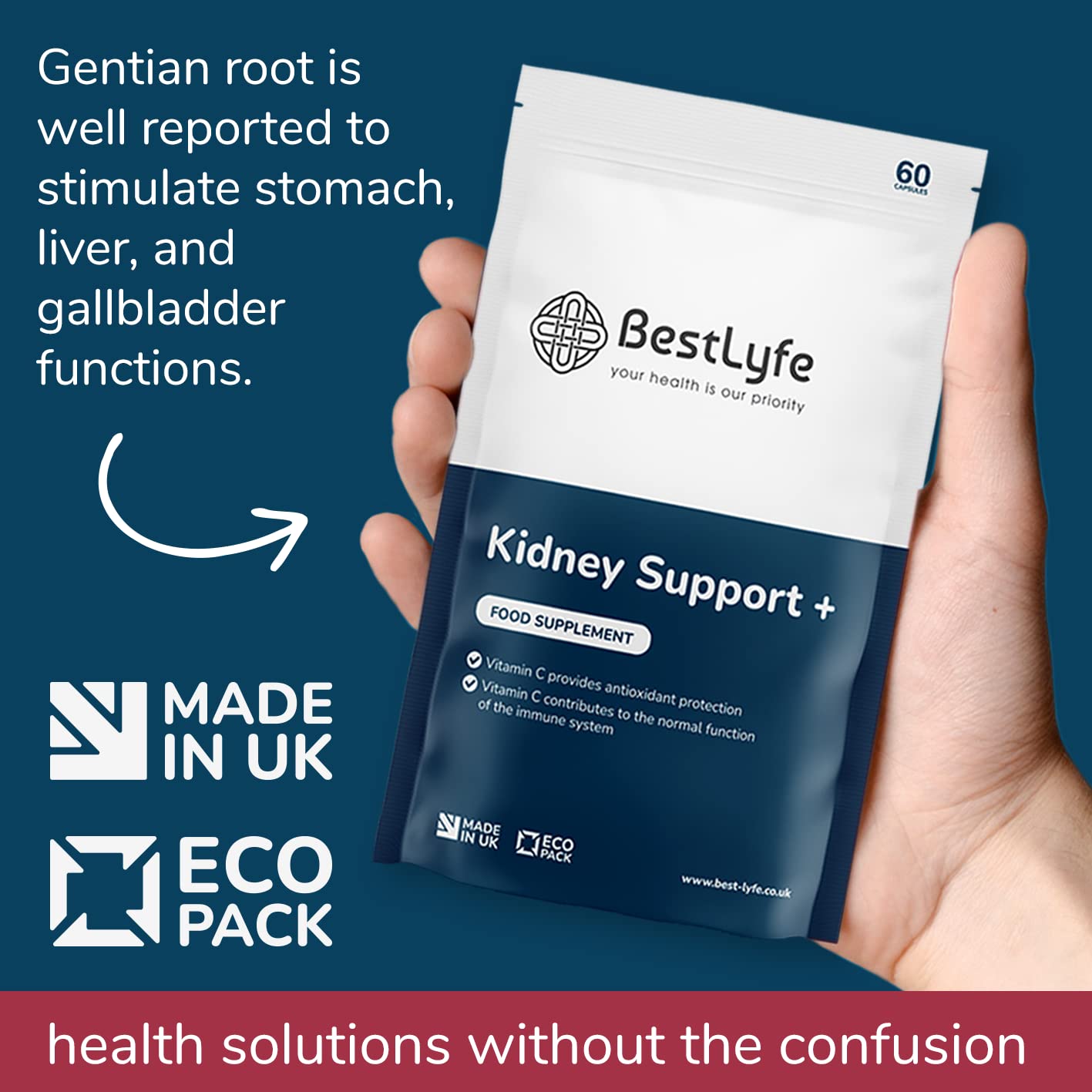 BestLyfe Your Health Is Our Priority BestLyfe Kidney Support+ Supplement | 14 Nutrients & Vitamins | Twin Pack | 120 Capsules | Liver Detox | Kidney Cleanse | Gallbladder and Spleen Support | Healthy Urinary Tract | UK Made