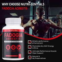 Nutri-Sentials Fadogia Agrestis 1000mg Maximum Strength 120 Capsules - Fadogia Agrestis Supplements, Athletic Performance & Muscle Mass