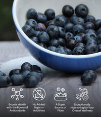 LOOV Wild Blueberry Powder Organic (Pomace Powder), Wild-Crafted from Nordic Forests, Made of Wild Bilberry Skins and Seeds Only, no Added Sugar, High in Fiber, 100 g