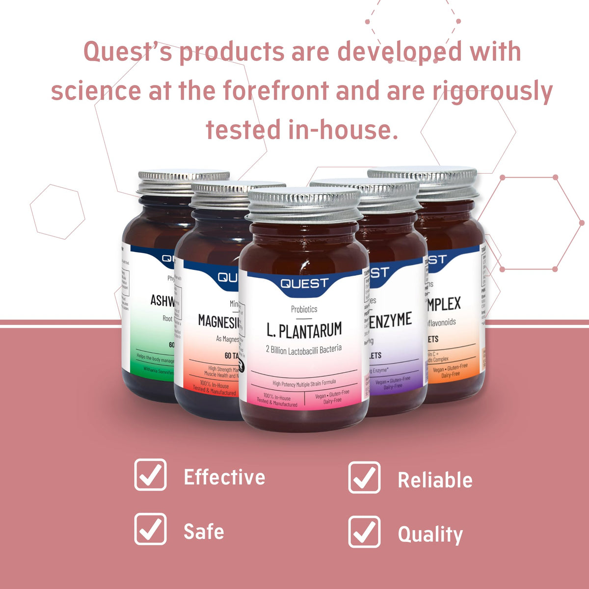 Quest Tum Biotix Gut Health Probiotics Supplements & Balance Gut Flora. 2 Billion CFU Helps Restore Gut Friendly Bacteria. Vegan Multi Strain Probiotic Digestive Supplement (30 Capsules)