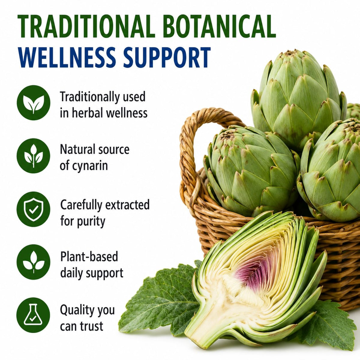 Hepatica Artichoke Extract 5,000mg Equivalent | 500mg 10:1 Cynara Scolymus Extract | Standardised to 5% Cynarin (25mg) | 120 Vegan Capsules | 4-Month Supply | 3rd Party Lab Tested