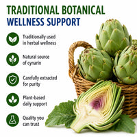 Hepatica Artichoke Extract 5,000mg Equivalent | 500mg 10:1 Cynara Scolymus Extract | Standardised to 5% Cynarin (25mg) | 120 Vegan Capsules | 4-Month Supply | 3rd Party Lab Tested