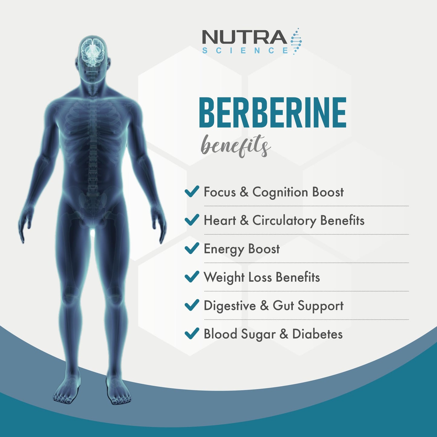 Nutra Science Berberine Supplement (98% Purity) Advanced Berberine High Strength 500mg, 60 Natural Berberine Capsules Vegan Tablets