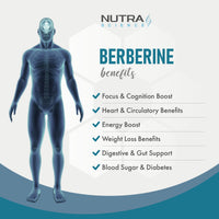 Nutra Science Berberine Supplement (98% Purity) Advanced Berberine High Strength 500mg, 60 Natural Berberine Capsules Vegan Tablets