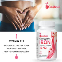 Liposomal Iron Supplement 42 mg (as Ferrous Sulfate) with Folic Acid and Vitamin B12, Increase Iron Levels for Adults, Superior Absorbed and Stomach Friendly (Pack of 1)