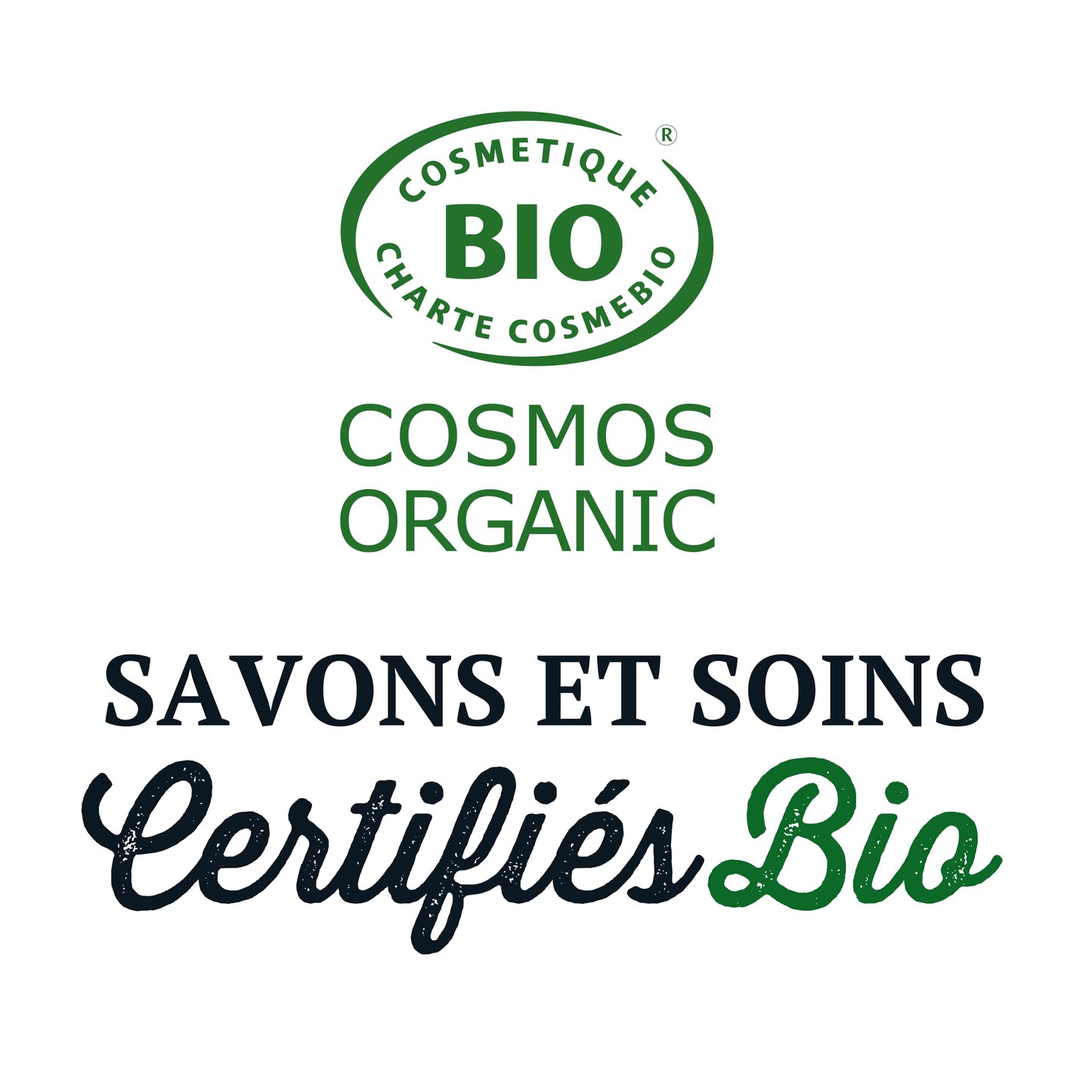 Briochin depuis 1919 P'ti Bio Gel Lavant 2en1 Corps & Cheveux Coquelicot Cosmos Organic 250 ml 250 ml