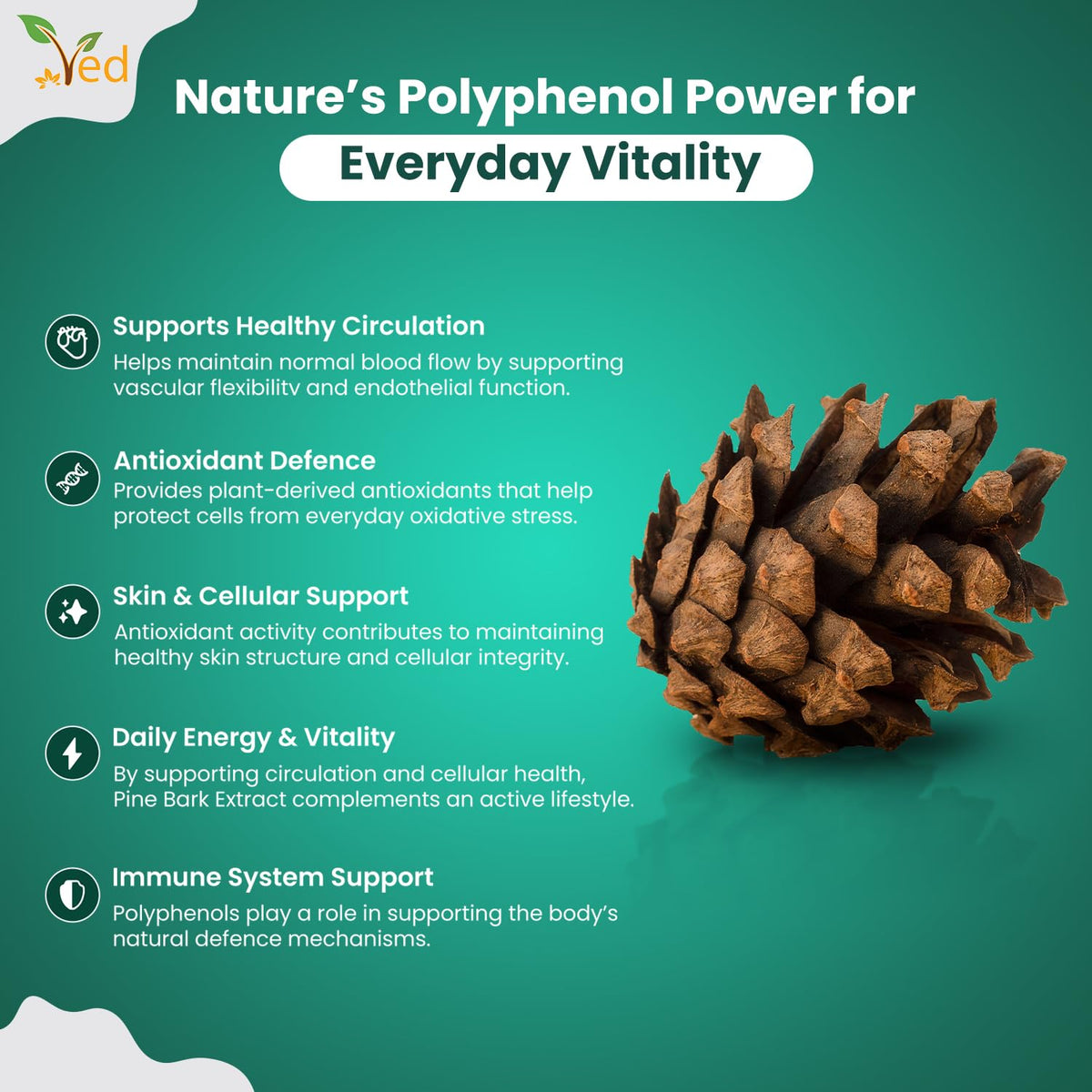VED Pine Bark Extract 250 mg | 90 Vegan Capsules | High Potency Antioxidant Dietary Supplement |(Pack of 2)