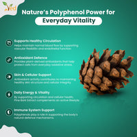 VED Pine Bark Extract 250 mg | 90 Vegan Capsules | High Potency Antioxidant Dietary Supplement |(Pack of 2)