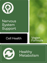 Youth & Earth Liposomal Vitamin B Complex with 5-MTHF Folate 250ml Mango and Orange Flavour