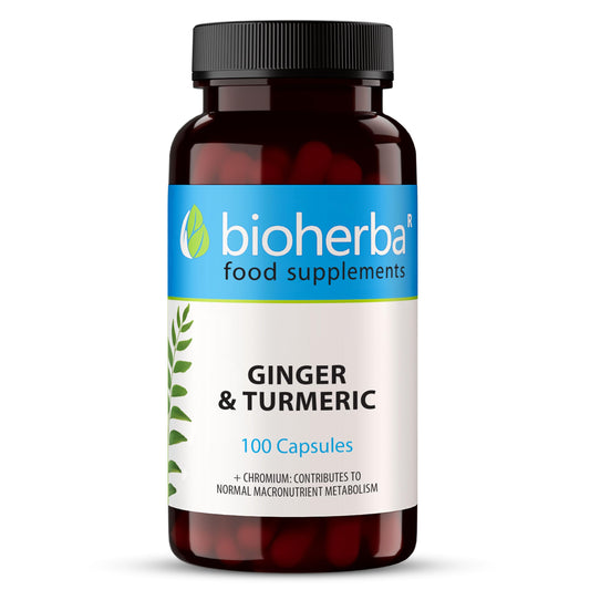 BIOHERBA 100 Ginger and Turmeric Capsules High Strength Curcumin Anti Inflammatory Suitable for Energy & Metabolism - Immune Health Supplements - Enhances Defense System