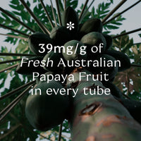 Pure Paw Paw Ointment Pure Paw Paw Australian Ointment with Passion Fruit to Smooth and Soothe, Suitable For Lips, All Skin Types and Makeup 15g