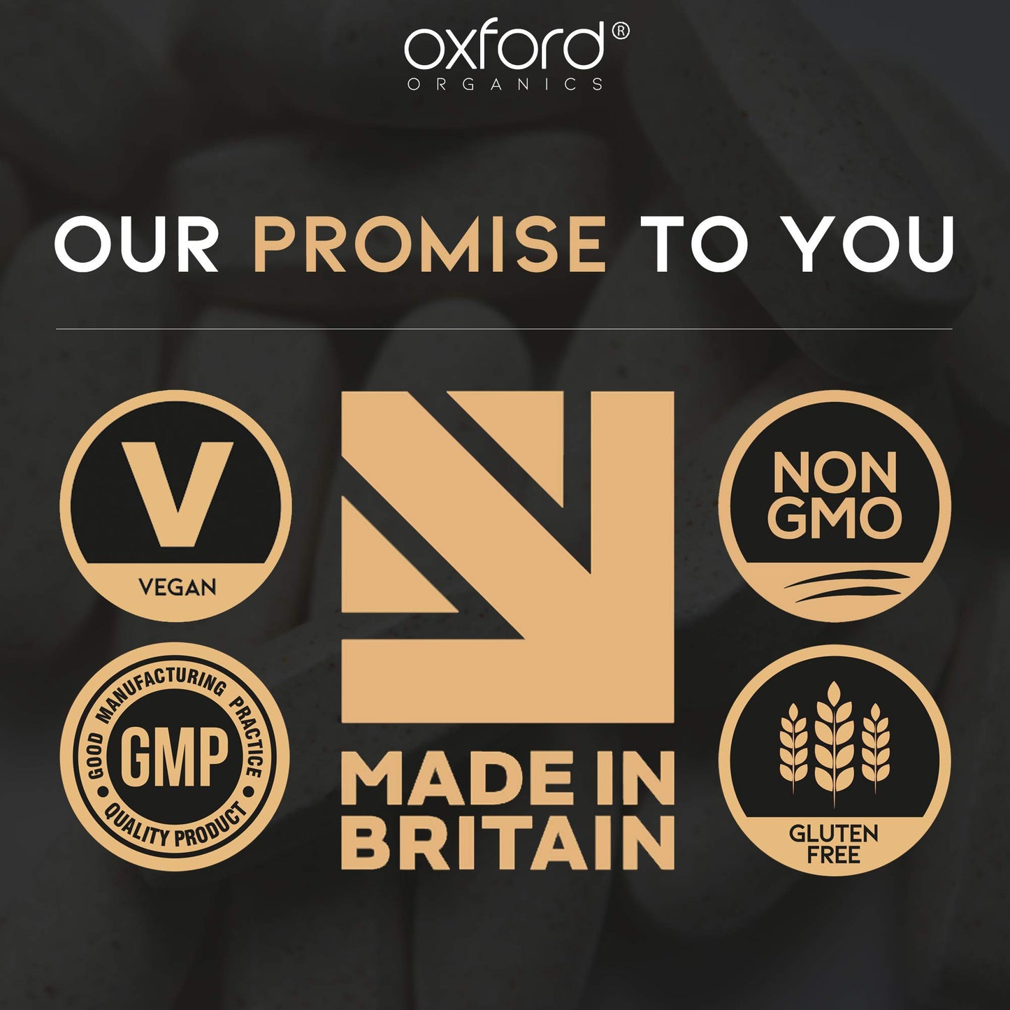 Oxford Organics Advanced Vegan Magnesium Tablets | Magnesium Supplements for Restless Leg Syndrome Relief, Leg Cramps & Calm Sleep | Magnesium Citrate, Oxide & Vitamin B6 | UK Made Magnesium Supplement (240 Tablets)