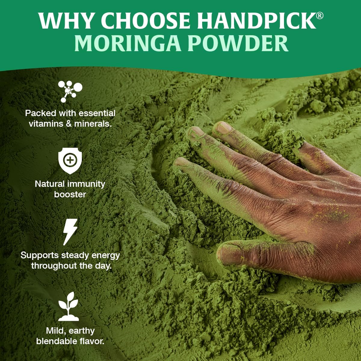 HANDPICK, Moringa Powder (500g/17.6oz) Pure Moringa Oleifera/Moringa Leaves | Resealable Zip Lock Pouch | Perfect for Cooking, Smoothies, Lattes & Moringa Tea