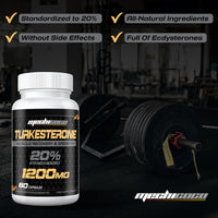 Mechicoco Turkesterone Supplement 1200mg Ajuga Turkestanica Extract (2 Packages)- High Strength, Standardized to 20% Turkesterone, Muscle Growth & Strength - Vegan, Free from Soy, Additives
