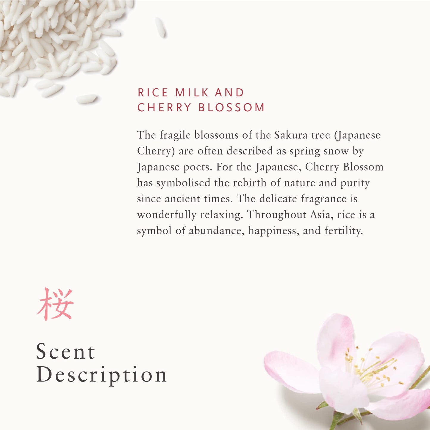 RITUALS Foaming Shower Gel from The Ritual of Sakura, 200 ml - with Rice Milk & Cherry Blossom - Skin Nourishing & Renewing Properties