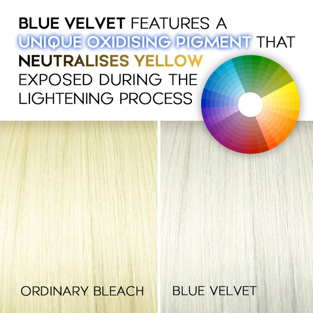 Blonde By Choice Professional Hair Bleach, Blonde by Choice Blue Velvet, Premium Hair Lightener, 9 Levels Of Lift, Inbuilt Blonde Toner, Perfect Bleach Hair Dye for Root Touch up, Highlights, Balayage, Ombre (100g)