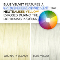 Blonde By Choice Professional Hair Bleach, Blonde by Choice Blue Velvet, Premium Hair Lightener, 9 Levels Of Lift, Inbuilt Blonde Toner, Perfect Bleach Hair Dye for Root Touch up, Highlights, Balayage, Ombre (100g)