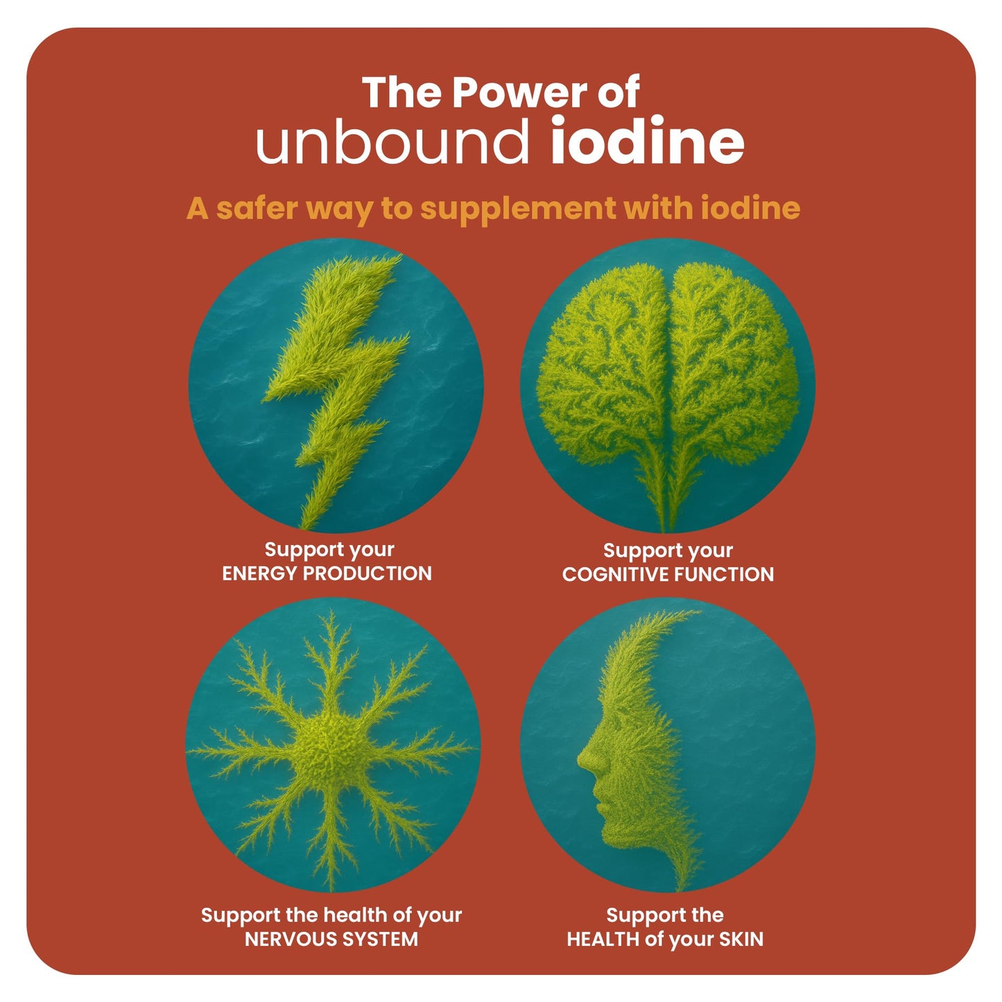 Nature Provides Natural Dual-Form Iodine : 100% Free and Unbound Iodine/Iodide Supplement. 675mcg (30ml) for Energy, Mood & Metabolism. Made in The UK.