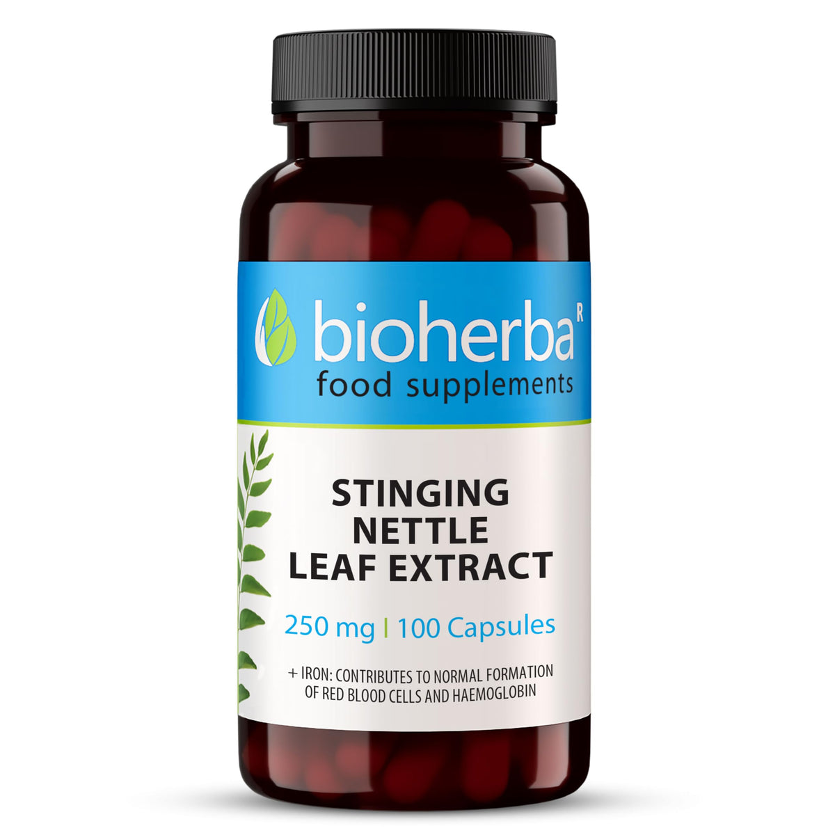 Stinging Nettle Capsules 250 mg - 200 Count Herbal Supplement for Prostate Health Vitality and Water Balance Support by BIOHERBA