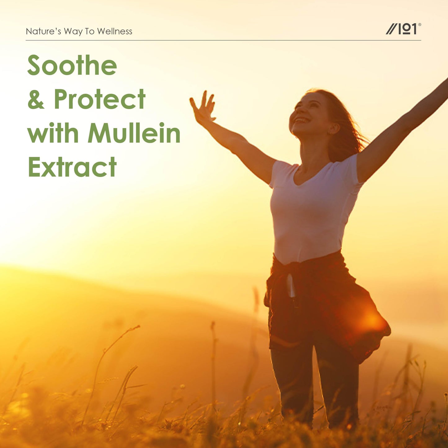ALPHA01 Mullein Leaf Extract for Lungs 2000mg - 60ml - High Strength Liquid Mullein Leaf - Made in EU - Mullein Leaf Vegan Liquid Drops by Alpha01