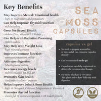 Sea Moss Capsules (St. Lucia - 60 caps) Organic | Wild Crafted | Non GMO | 92 Minerals - Containing Essential Vitamins and Minerals