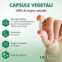 LIFEPLAN Lifeplan Acidophilus and Rhamnosus Vegicap 50 Capsules