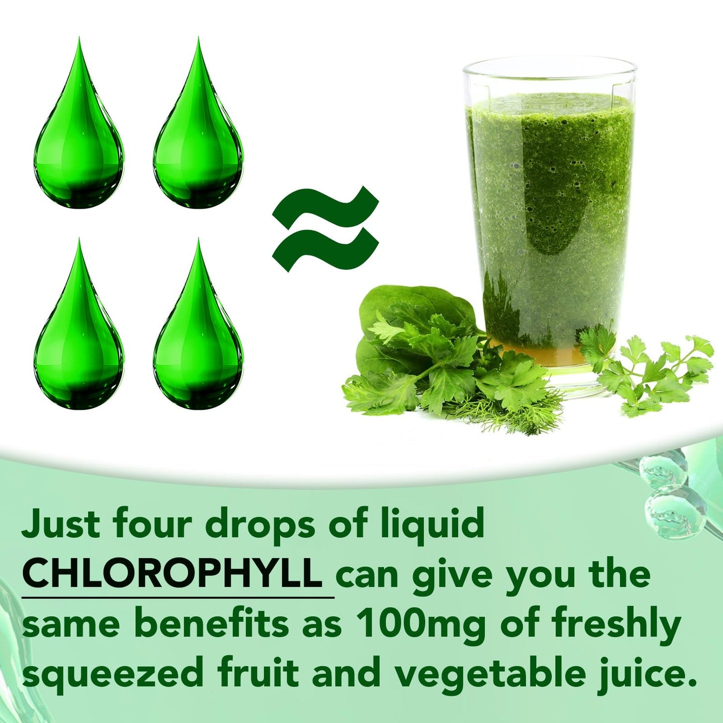Liquid Chlorophyll Drops, 60ML Natural Chlorophyll for Internal Detox & Cleanes, Energy Booster, Digestion Supports Mint Flavour
