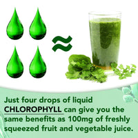 Liquid Chlorophyll Drops, 60ML Natural Chlorophyll for Internal Detox & Cleanes, Energy Booster, Digestion Supports Mint Flavour