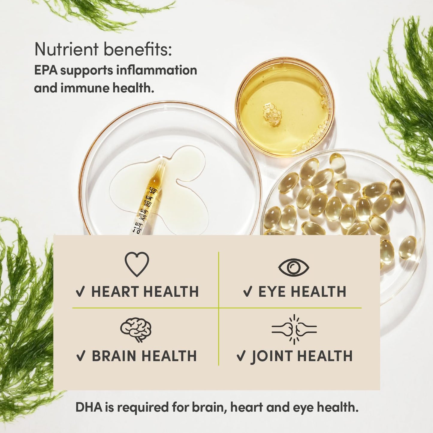 Bud Vegan Omega 3 Supplements - High-Strength DHA EPA & DPA - Premium Plant-Based Algae Oil Omega 3 - Omega Supports Brain, Eye & Heart Health - 60 Omega 3 Vegan Capsules (1 Month Supply)