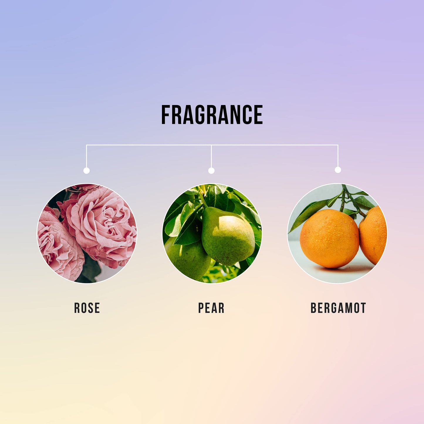 HASK Blonde Care Deep Conditioner Treatment for all hair types, colour safe, gluten free, sulfate free, paraben free - 1 50mL Packette