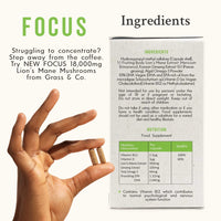 Grass & Co | FOCUS Lion's Mane Mushroom Capsules | Supports Cognitive Health | 60 Capsules | 30 Servings | Lion's Mane Extract, Ginseng, Omega-3, Vitamins B12 & D