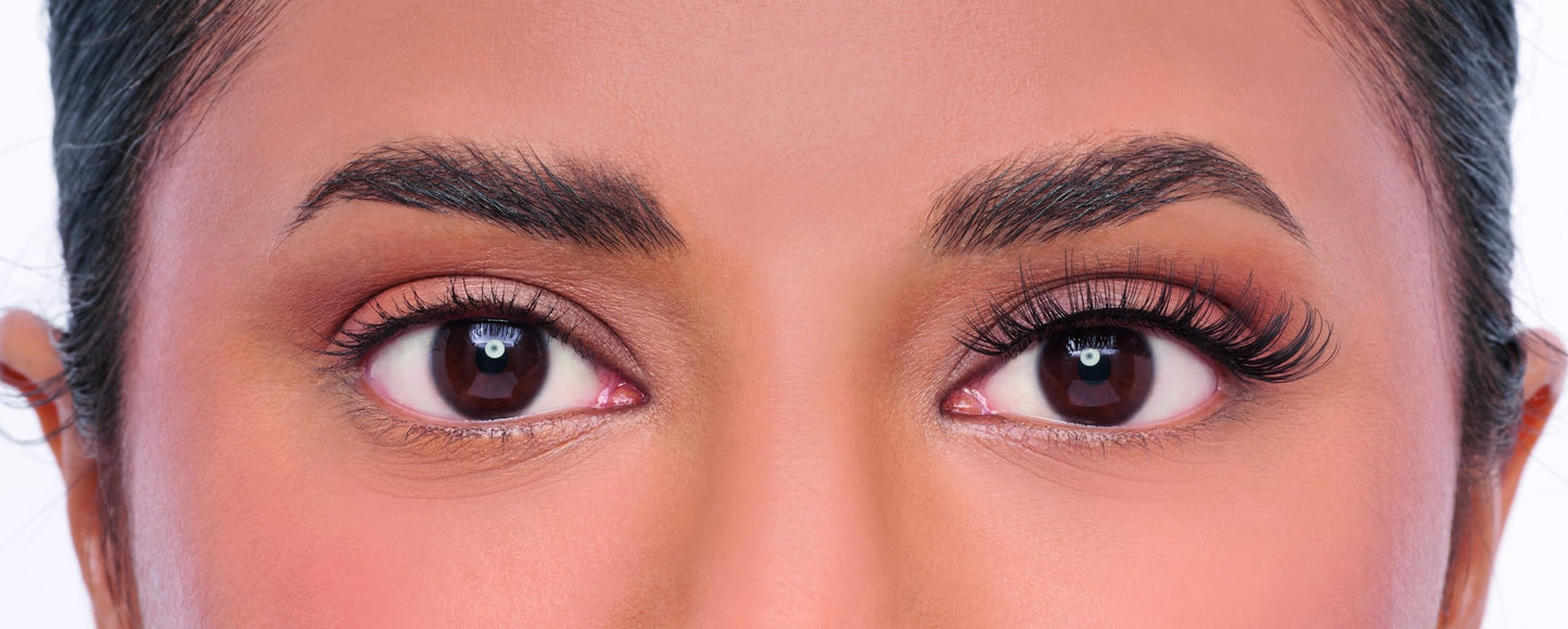 Eylure Lash Case No. 503