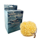 pasiphae natural skin care & sea sponges Pasiphae Natural Soft Loofah Yellow Sea Sponge,Honeycomb Body Sponge on a Rope for Bath & Shower -100% Natural, Organic,-Men,Women,Adults, Exfoliating,Eco Gift Carton (Pack of 1-Size L - 12,5-14,5cm)