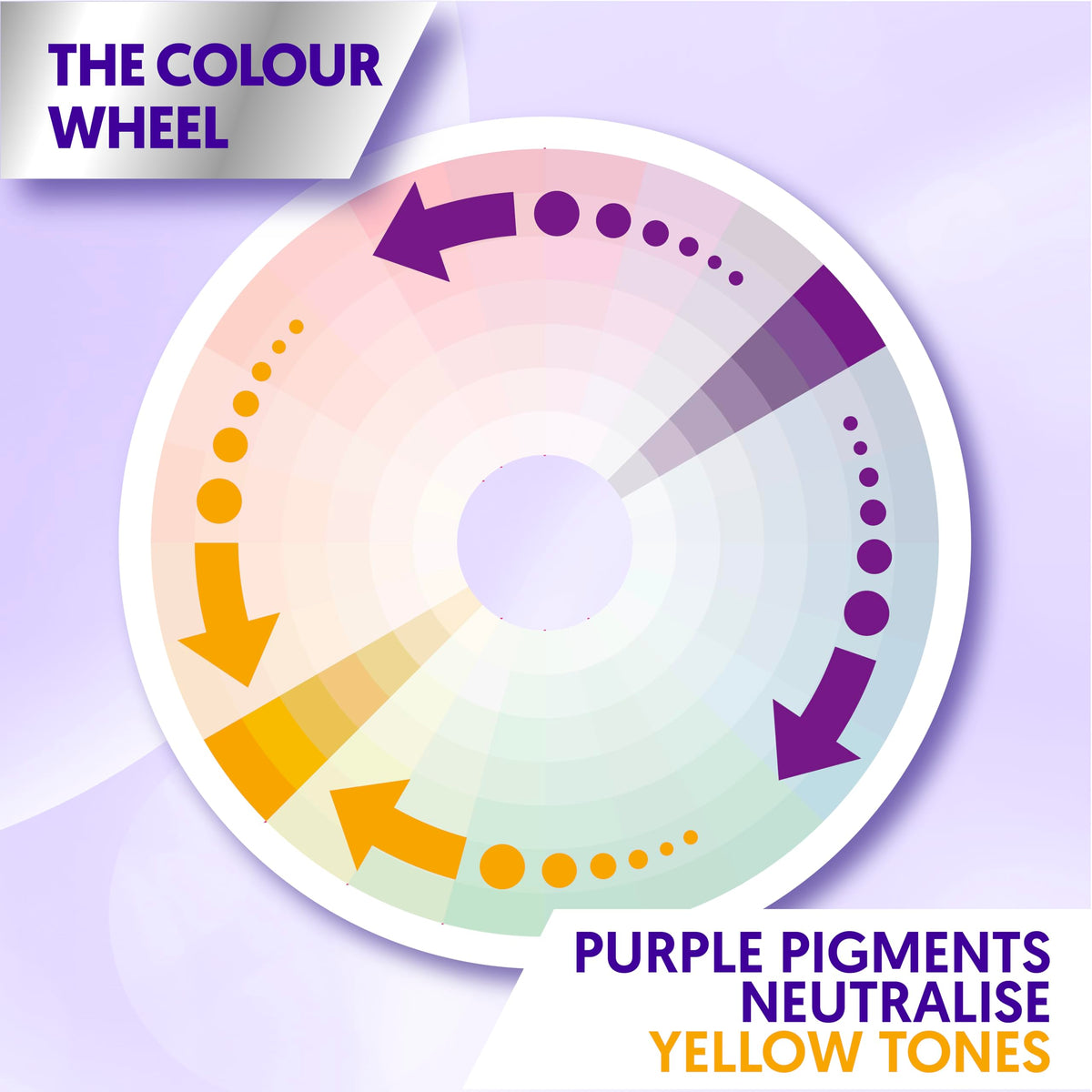 PROVOKE Touch Of Silver Brightening Purple Shampoo 200 ml, Neutralises Yellow and Orange tones, Formulated with Violet and Blue Pigments