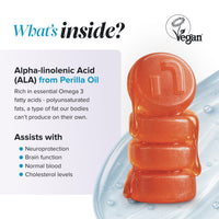 novomins Omega 3 6 9 Gummies |60 Vegan Omega 3 | Heart, Brain & Eyes | Novomins