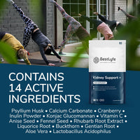 BestLyfe Your Health Is Our Priority BestLyfe Kidney Support+ Supplement | 14 Nutrients & Vitamins | Twin Pack | 120 Capsules | Liver Detox | Kidney Cleanse | Gallbladder and Spleen Support | Healthy Urinary Tract | UK Made