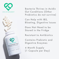LactoSpore® (Bacillus Coagulans) Plus Spore Based Probiotic | 120 Capsules - 4 Month Supply | Bloating Relief/Gut Health | 15 Billion CFU/g | Includes Digestive Enzymes & Prebiotic Inulin | UK Made