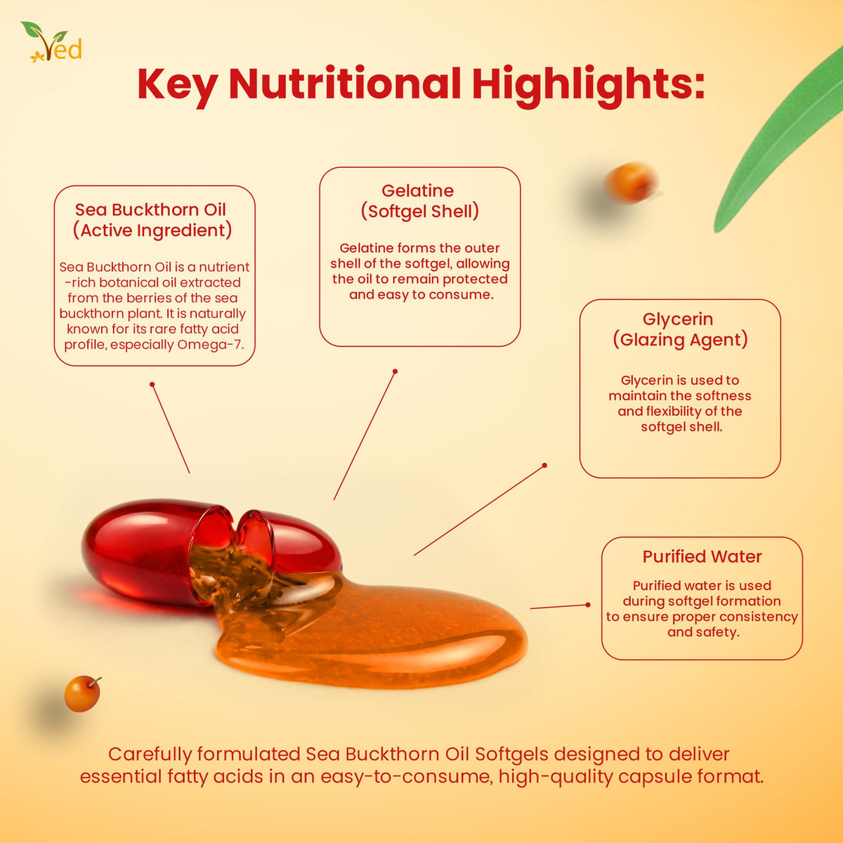 Ved VED Sea Buckthorn Oil Soft Capsules | Boost Immune System | Omega-7 500 mg | 120 Softgels.