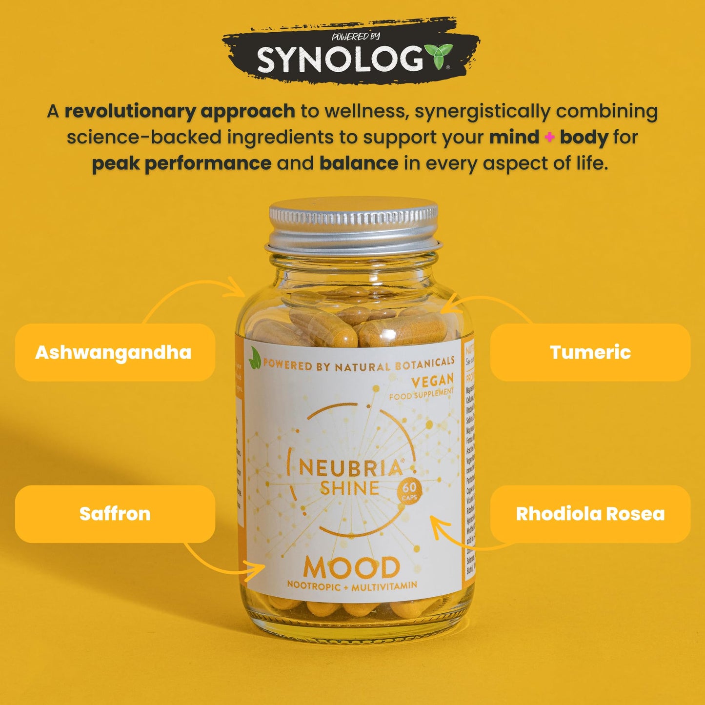 NEUBRIA Edge Focus Supplement – Multivitamin + Nootropics Brain Support with Bacopa Monnieri, Ashwagandha, Rhodiola, Ginkgo Biloba, Sage, Blueberry & Rosemary – Potent Cognitive Formula – 60 Capsules