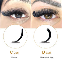 QUEWEL Easy Fan Russian Lashes 0.07D Curl Mix 8-15mm 2D-20D Volume Lash Extensions Self Fanning Automatic Blooming