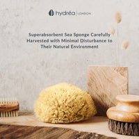 Hydréa London Hydrea London Natural Sea Sponge 5.5 - 6"- Premium Mediterranean Honeycomb Unbleached Natural Sponge for Bath and Shower for Adults, Women, Men Children and Baby