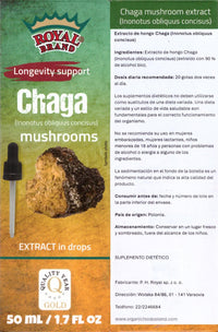 Royal Brand Chaga Extract Drops 50 ml / Chaga Mushroom / Better Than Chaga Mushroom Capsules / Liquid Extract Drops / 1.7 FL OZ