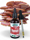 Royal Brand Reishi Mushroom Supplement/Our Reishi Mushroom Extract Promotes Longevity / Reishi Mushroom Tincture - 50ml / 1.7 Fl Oz