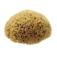 Hydréa London Hydrea London Natural Sea Sponge 5.5 - 6"- Premium Mediterranean Honeycomb Unbleached Natural Sponge for Bath and Shower for Adults, Women, Men Children and Baby
