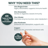 Bio Mirco Zinc Supplements, High Strength Zinc Picolinate, Bisglycinate, Gluconate, Citrate 30mg & Copper Complex, Immune System & Cognitive Function, Zink Supplement for Men & Women, 120 Capsules, UK Made
