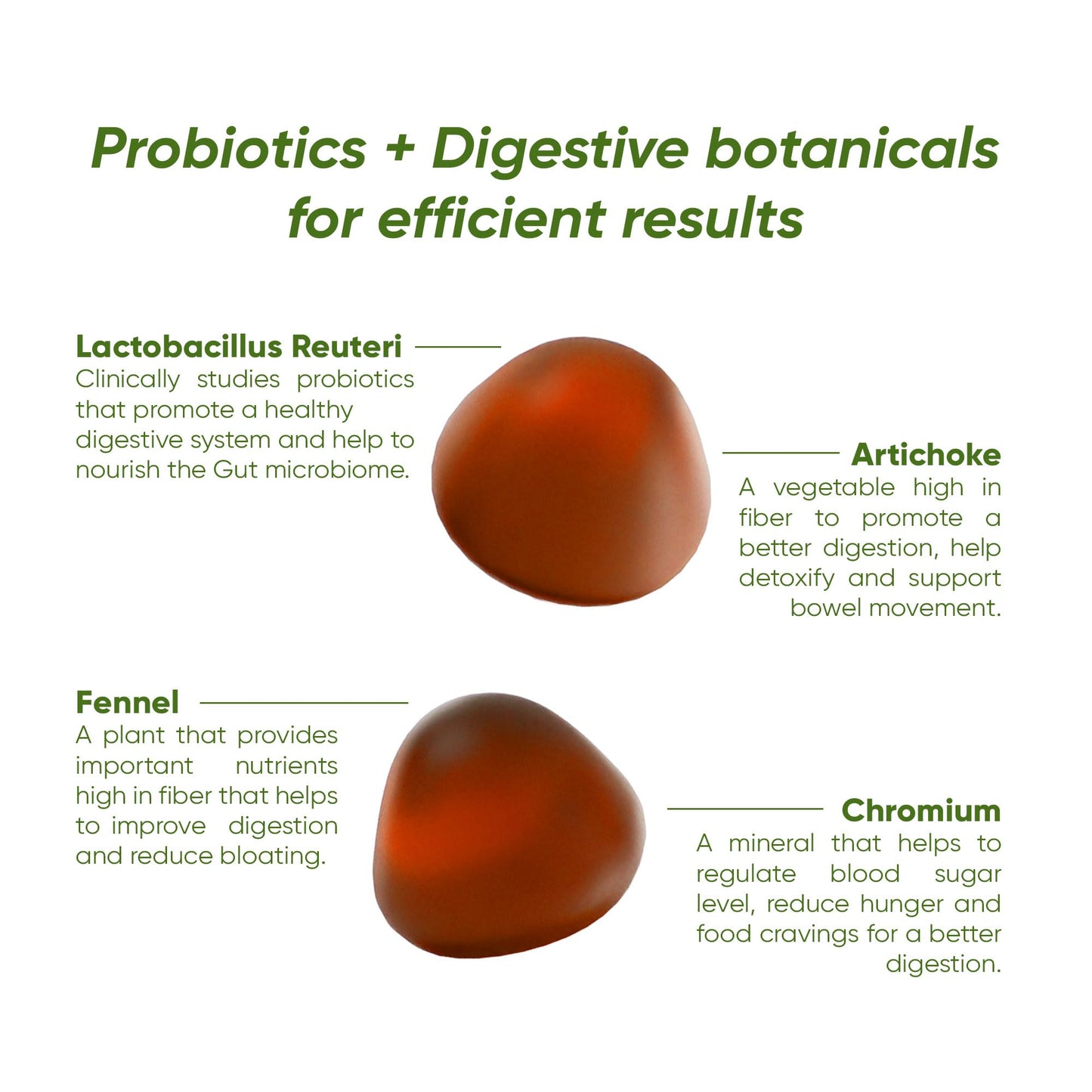 Rite Balance Probiotics Sugar Free Gummies, Gut Health, Digestion, Bloating Relief and Immune Support, Vegan, Apple Flavour (60 Count)