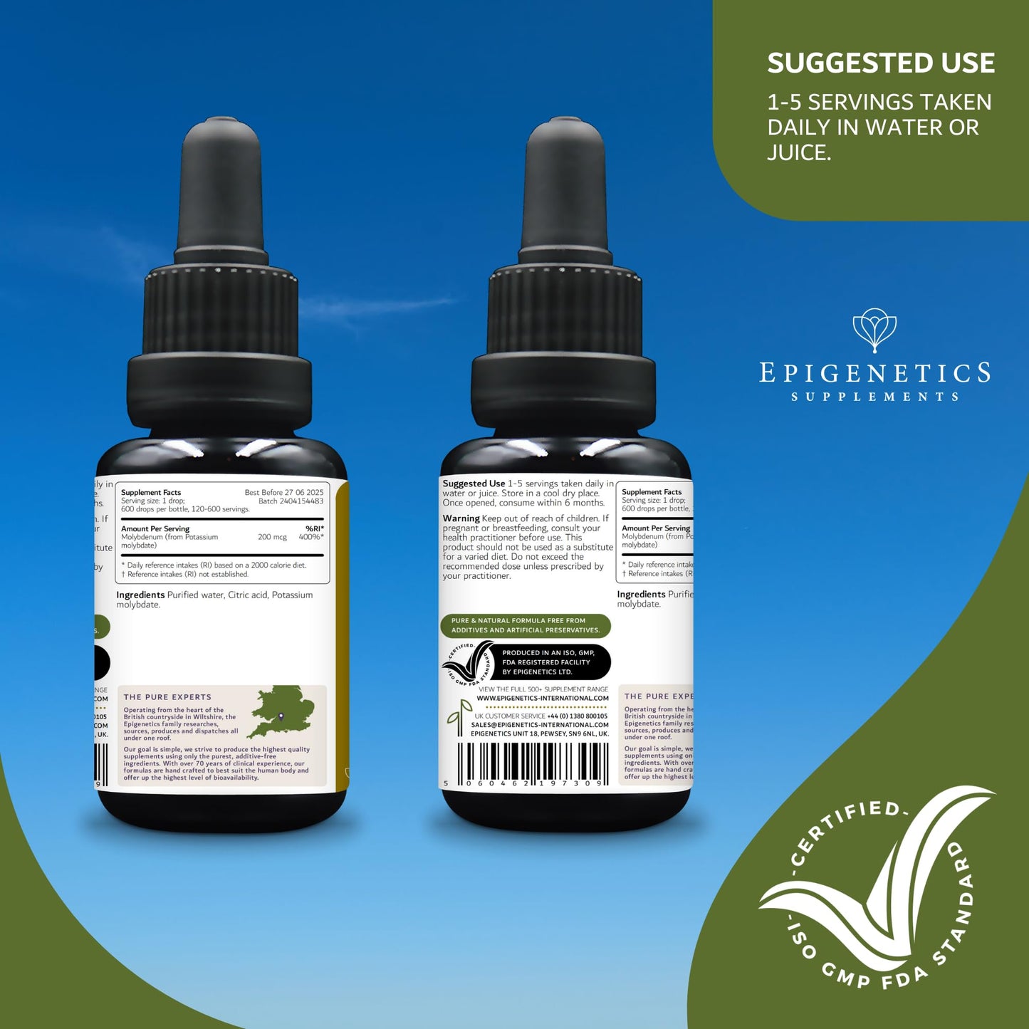 Epigenetics Molybdenum Liquid Supplement 30ml | 200mcg Per Drop | Highly Bioavailable | 6-Month Supply Without additives or flavourings | Made in The UK & Vegan Friendly